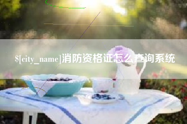 平邑消防资格证怎么查询系统