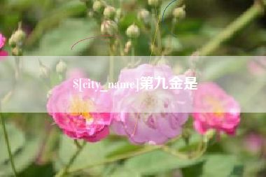 平邑第九金是