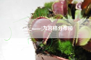 平邑九宫格分布图