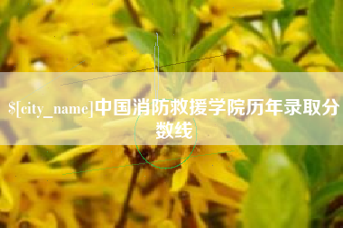 平邑中国消防救援学院历年录取分数线