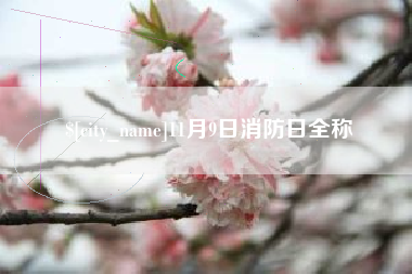 平邑11月9日消防日全称