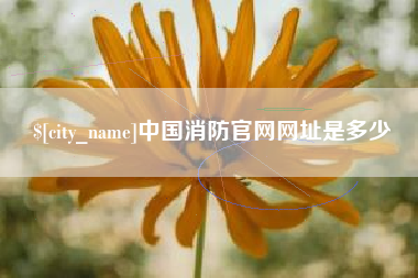 平邑中国消防官网网址是多少