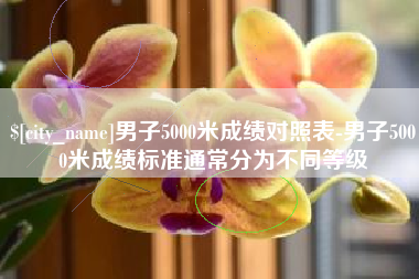 平邑男子5000米成绩对照表-男子5000米成绩标准通常分为不同等级