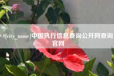 平邑中国执行信息查询公开网查询官网
