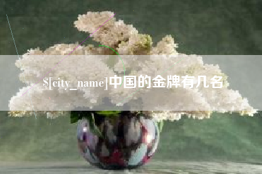 平邑中国的金牌有几名