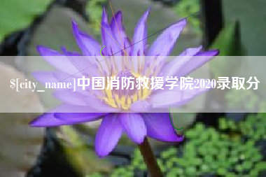 平邑中国消防救援学院2020录取分
