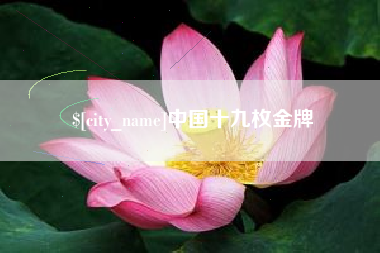 平邑中国十九枚金牌