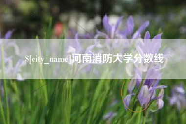 平邑河南消防大学分数线