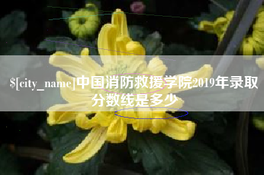 平邑中国消防救援学院2019年录取分数线是多少