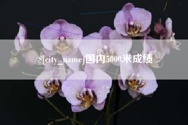 平邑国内5000米成绩