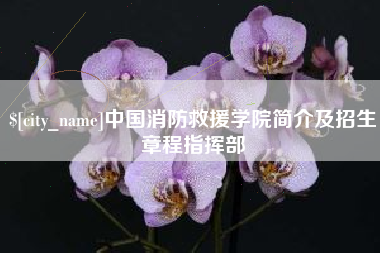 平邑中国消防救援学院简介及招生章程指挥部