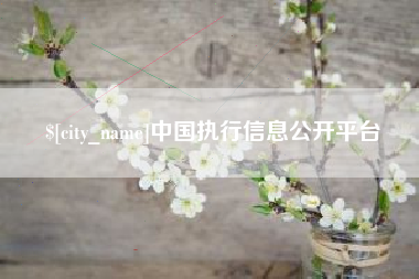 平邑中国执行信息公开平台