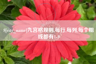 平邑九宫格规则,每行,每列,每个粗线都有1-9