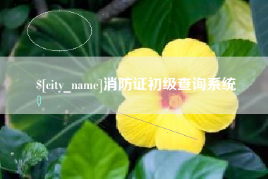 平邑消防证初级查询系统