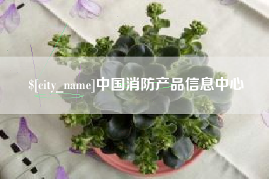 平邑中国消防产品信息中心