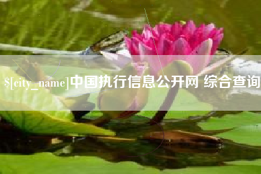 平邑中国执行信息公开网 综合查询