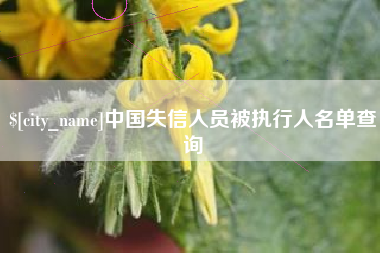 平邑中国失信人员被执行人名单查询