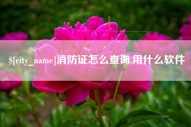 平邑消防证怎么查询,用什么软件