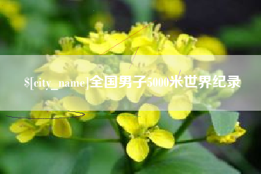 平邑全国男子5000米世界纪录