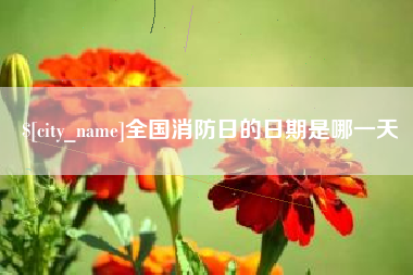 平邑全国消防日的日期是哪一天