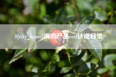 平邑消防产品cccf认证目录