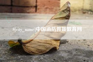平邑中国消防救援教育网