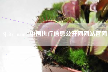 平邑中国执行信息公开网网站官网