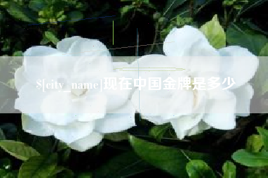 平邑现在中国金牌是多少