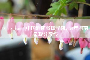 平邑中国消防救援学院2020年河南录取分数线