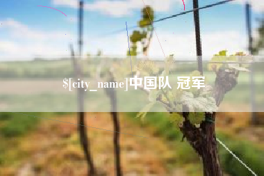 平邑中国队 冠军