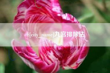 平邑九宫排除法
