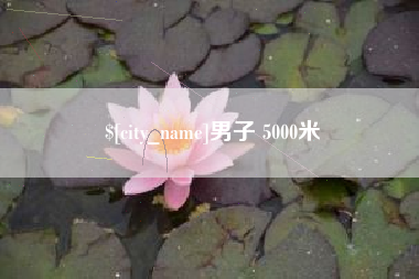 平邑男子 5000米