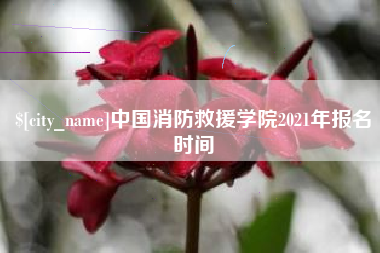 平邑中国消防救援学院2021年报名时间
