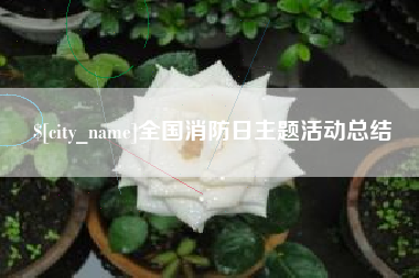 平邑全国消防日主题活动总结