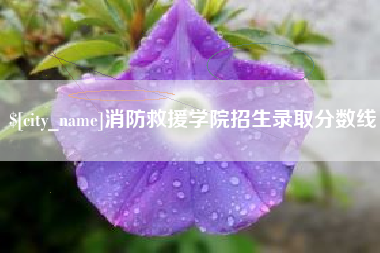 平邑消防救援学院招生录取分数线