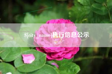 平邑执行信息公示