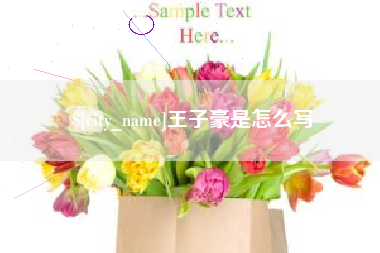 平邑王子豪是怎么写