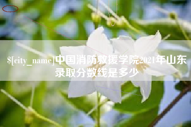 平邑中国消防救援学院2021年山东录取分数线是多少