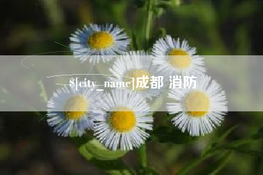 平邑成都 消防