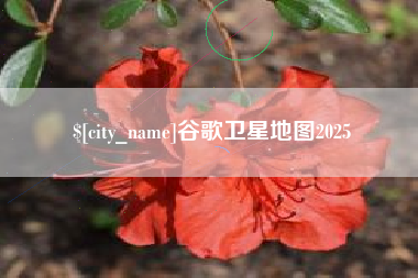 平邑谷歌卫星地图2025