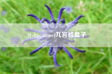 平邑九宫格盘子