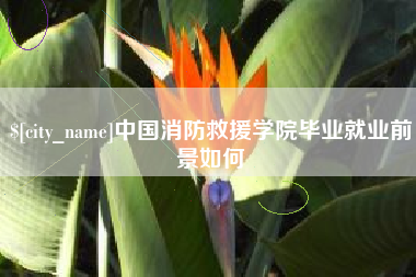 平邑中国消防救援学院毕业就业前景如何