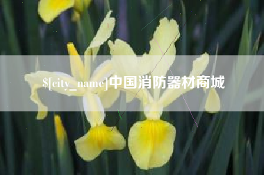 平邑中国消防器材商城