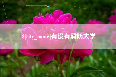 平邑有没有消防大学
