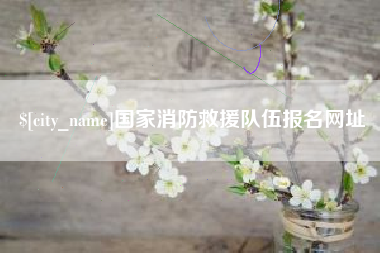 平邑国家消防救援队伍报名网址