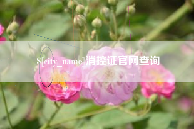 平邑消控证官网查询