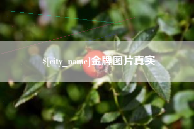 平邑金牌图片真实