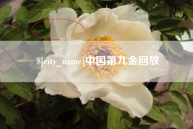 平邑中国第九金回放