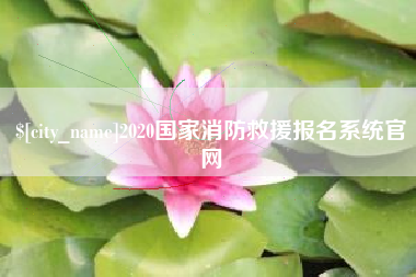 平邑2020国家消防救援报名系统官网