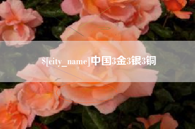 平邑中国3金3银3铜